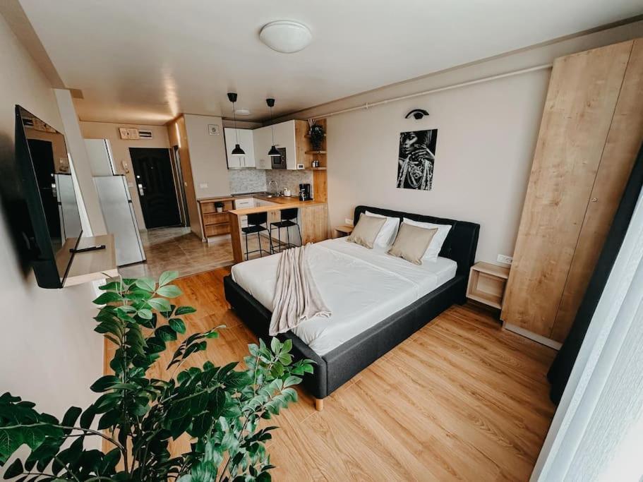 Agoll Victoria - Self Checkin Apartment Resita Exterior photo